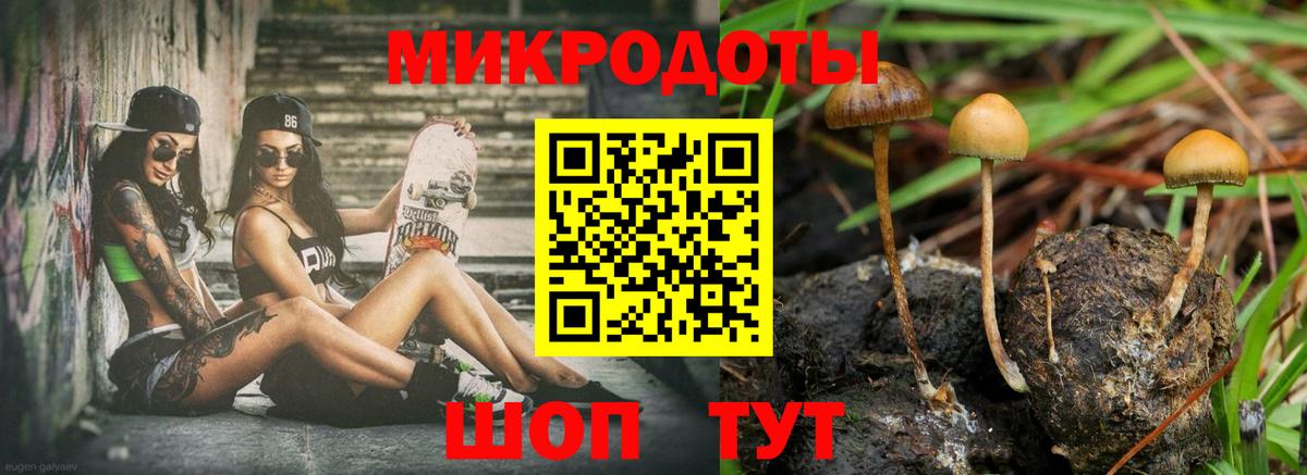 COCAIN Салехард
