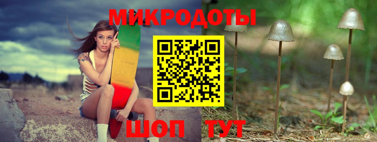 Псилоцибиновые грибы GOLDEN TEACHER  Псилоцибиновые грибы мицелий  закладки  Вход с VPN  Салехард 